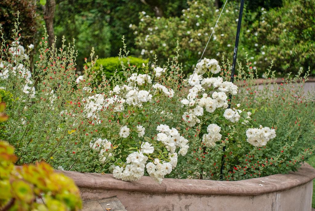 Detail Gallery Image 40 of 54 For 780 Calabasas Rd, Watsonville,  CA 95076 - 2 Beds | 2/1 Baths