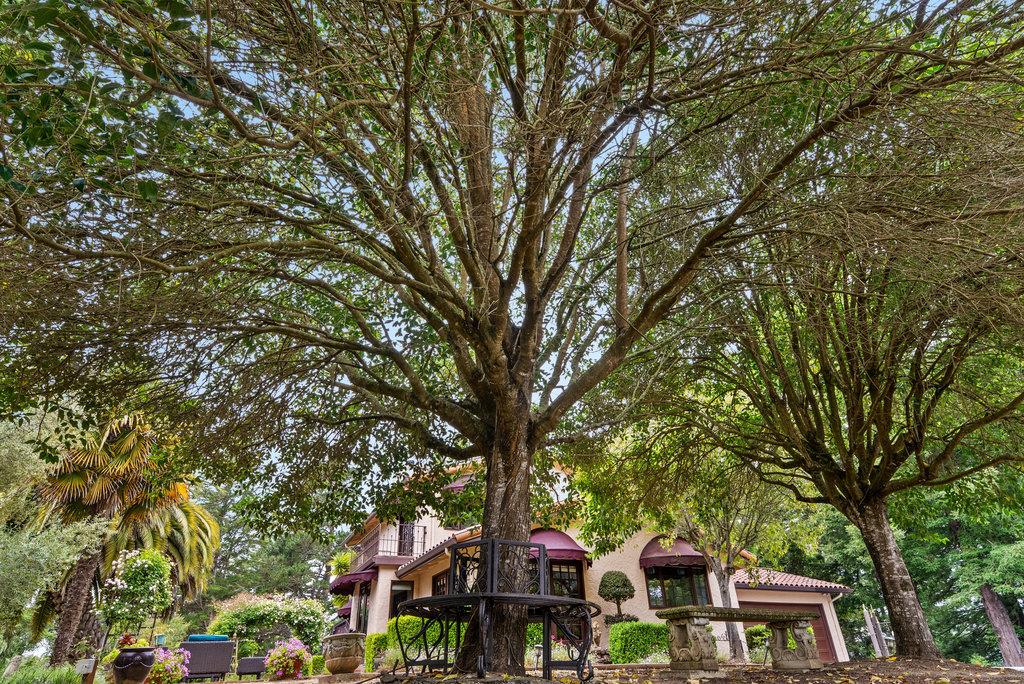 Detail Gallery Image 46 of 54 For 780 Calabasas Rd, Watsonville,  CA 95076 - 2 Beds | 2/1 Baths