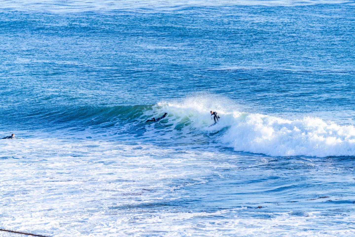 Detail Gallery Image 59 of 62 For 9 Rockview Dr, Santa Cruz,  CA 95062 - 4 Beds | 3 Baths