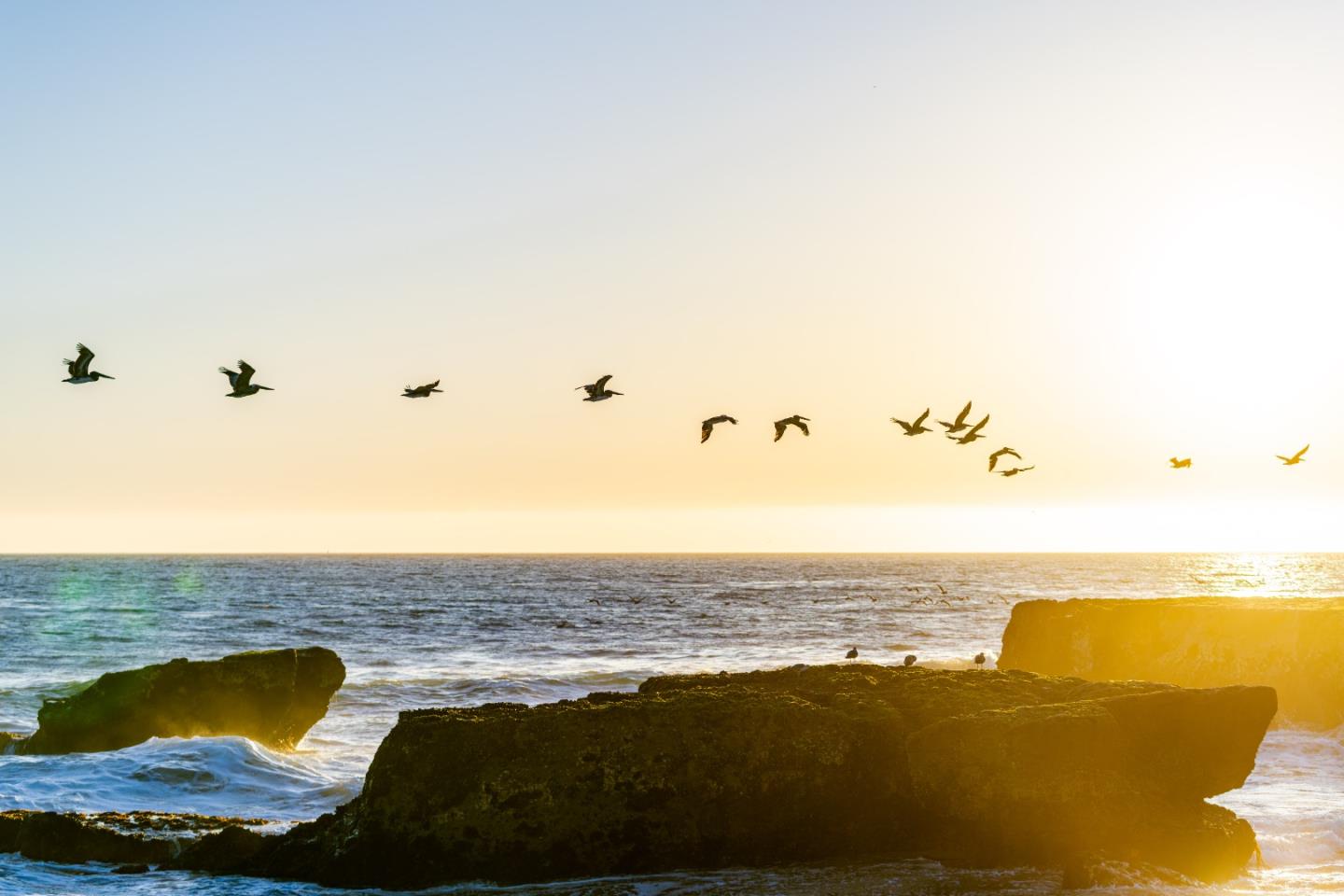 Detail Gallery Image 62 of 62 For 9 Rockview Dr, Santa Cruz,  CA 95062 - 4 Beds | 3 Baths