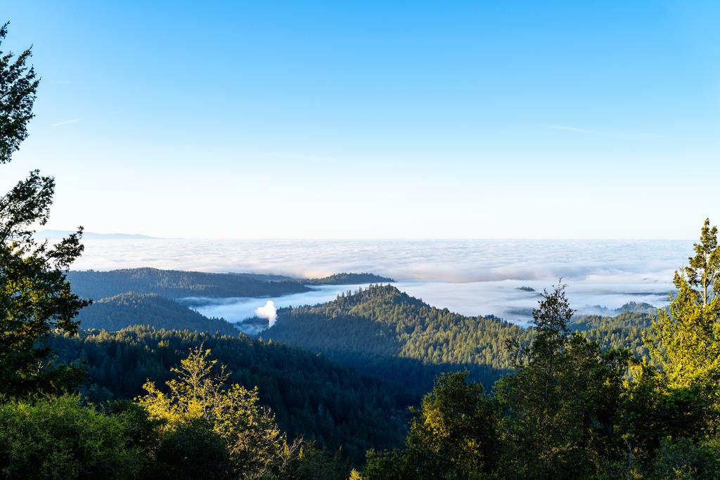 Detail Gallery Image 56 of 94 For 25220 Quail Ridge Rd, Los Gatos,  CA 95033 - 5 Beds | 3/1 Baths
