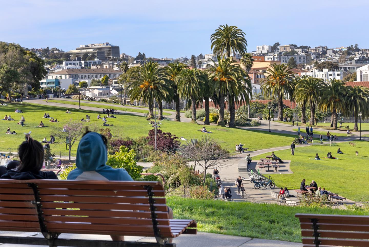 Detail Gallery Image 27 of 30 For 25 Sycamore St, San Francisco,  CA 94110 - 2 Beds | 1 Baths