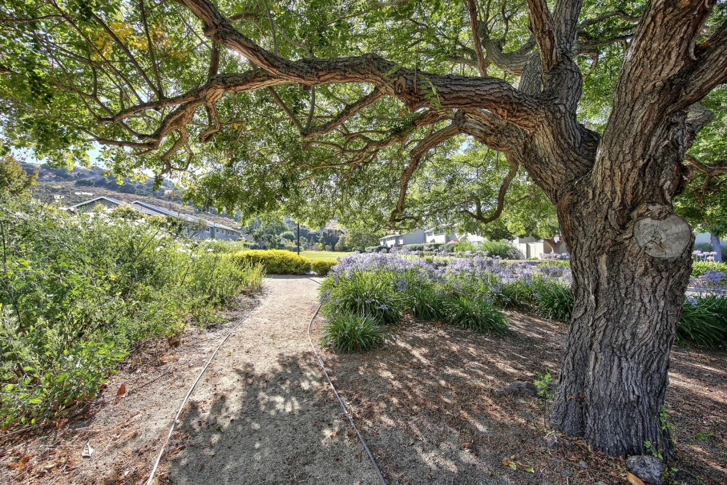Detail Gallery Image 34 of 34 For 19311 Creekside Cir, Salinas,  CA 93908 - 2 Beds | 1/1 Baths