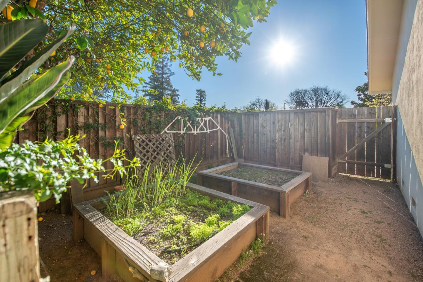 Detail Gallery Image 47 of 50 For 1596 Bonnie Joy Ave, San Jose,  CA 95129 - 3 Beds | 2 Baths