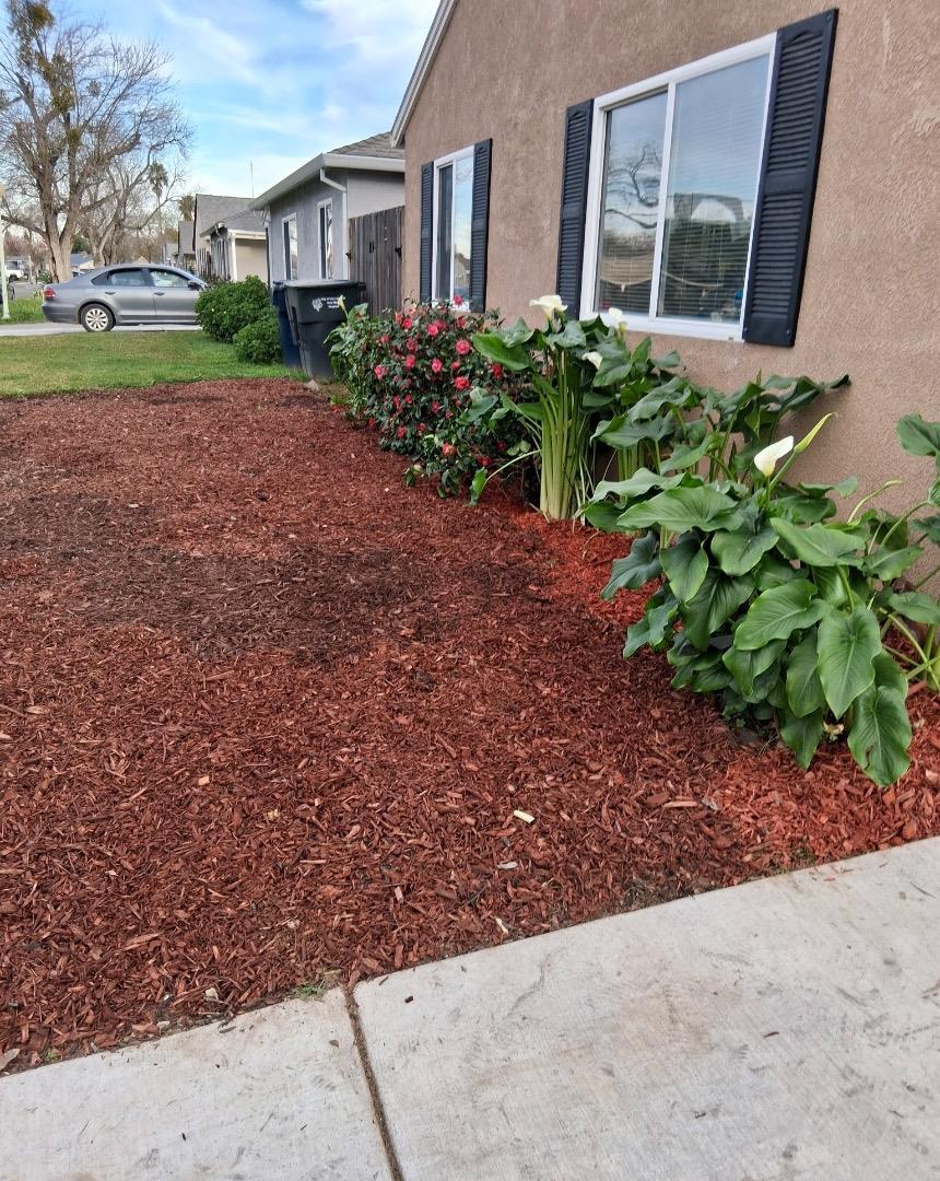 Detail Gallery Image 3 of 17 For 7330 25th Ave, Sacramento,  CA 95820 - – Beds | – Baths