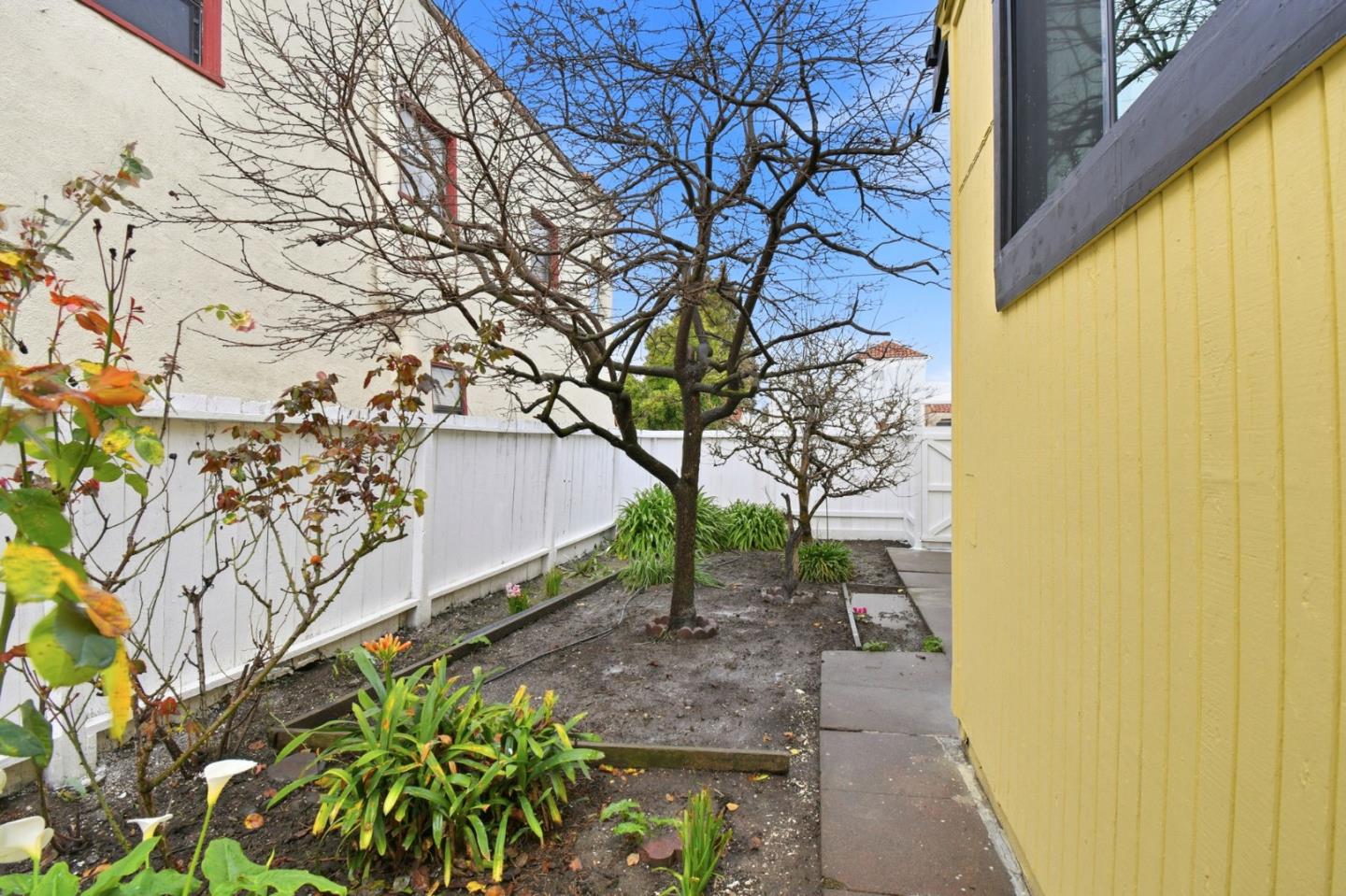 Detail Gallery Image 28 of 31 For 1236 Portland, Albany,  CA 94706 - 4 Beds | 2 Baths