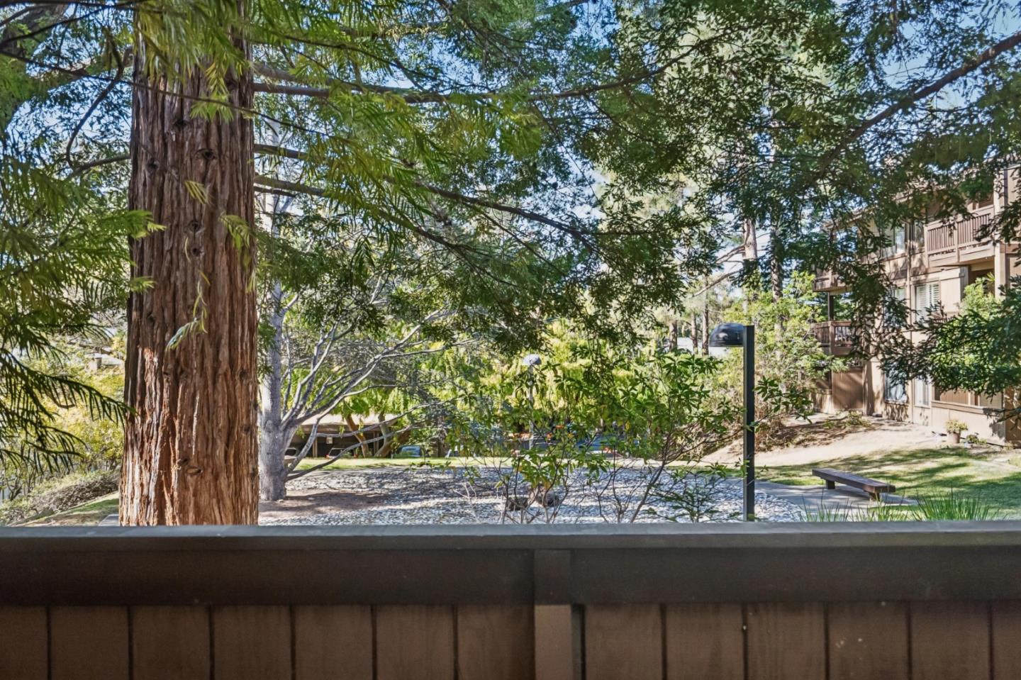 Detail Gallery Image 13 of 24 For 3314 Brittan Ave #1,  San Carlos,  CA 94070 - 3 Beds | 2 Baths