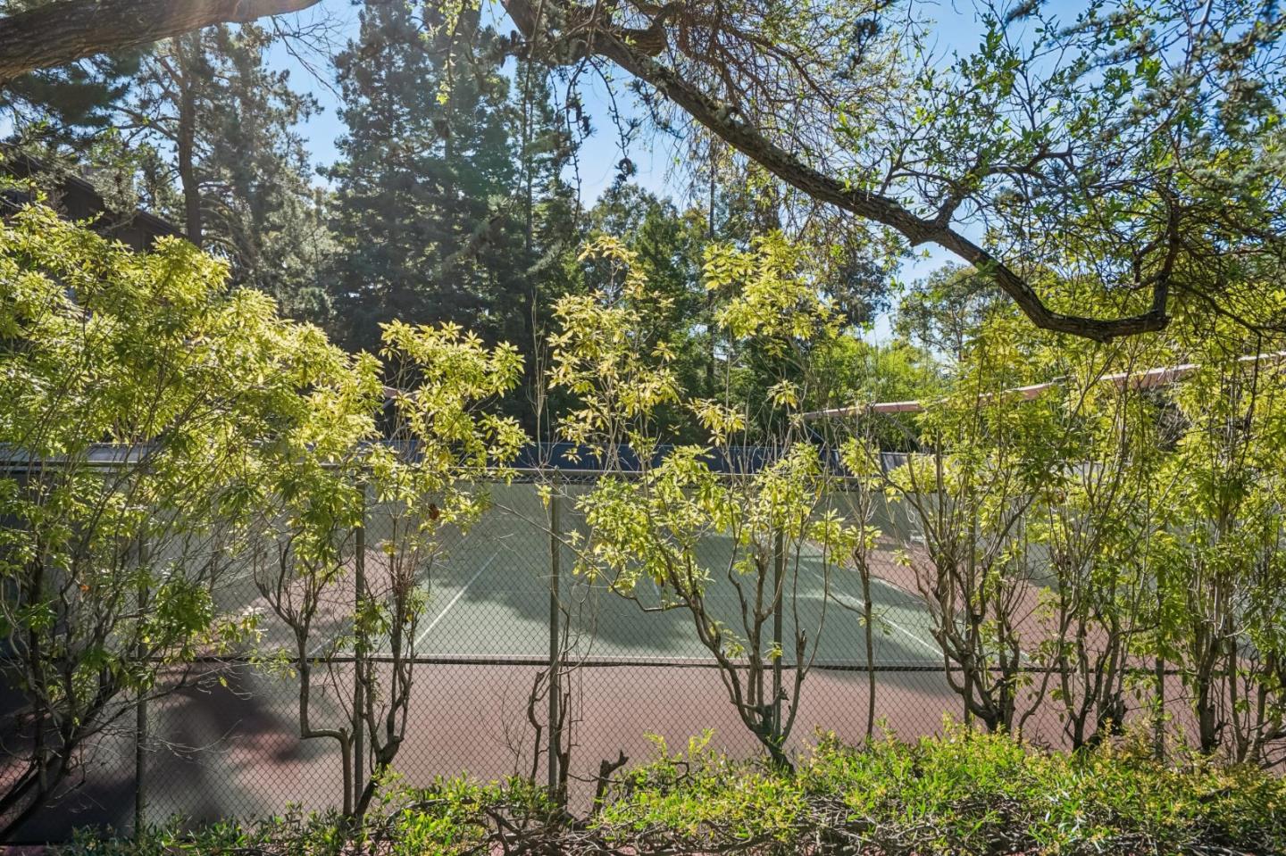 Detail Gallery Image 15 of 24 For 3314 Brittan Ave #1,  San Carlos,  CA 94070 - 3 Beds | 2 Baths