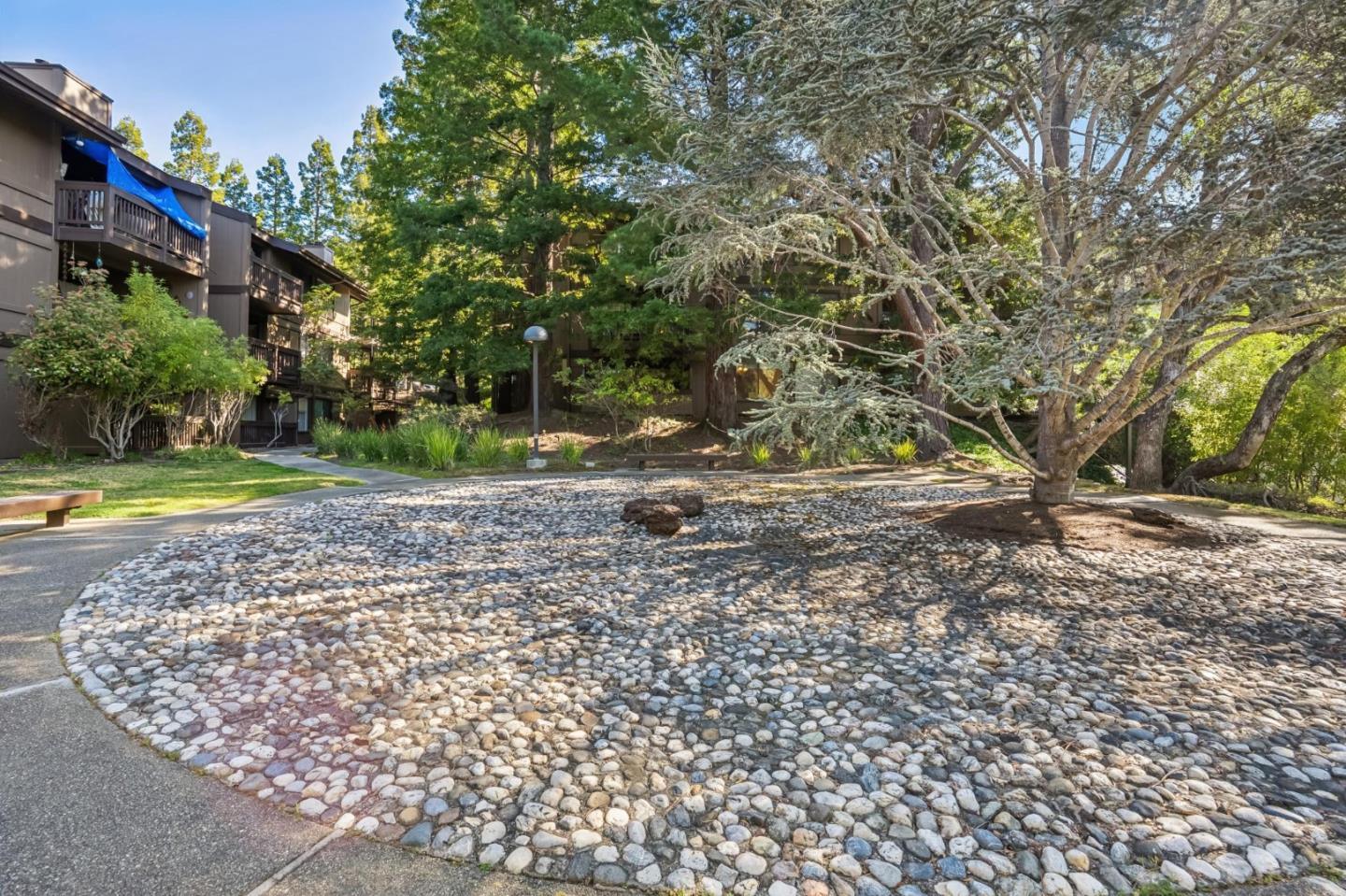 Detail Gallery Image 16 of 24 For 3314 Brittan Ave #1,  San Carlos,  CA 94070 - 3 Beds | 2 Baths