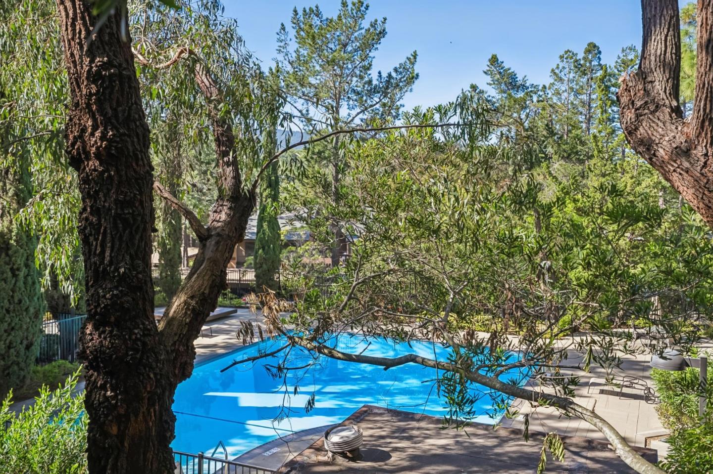 Detail Gallery Image 19 of 24 For 3314 Brittan Ave #1,  San Carlos,  CA 94070 - 3 Beds | 2 Baths