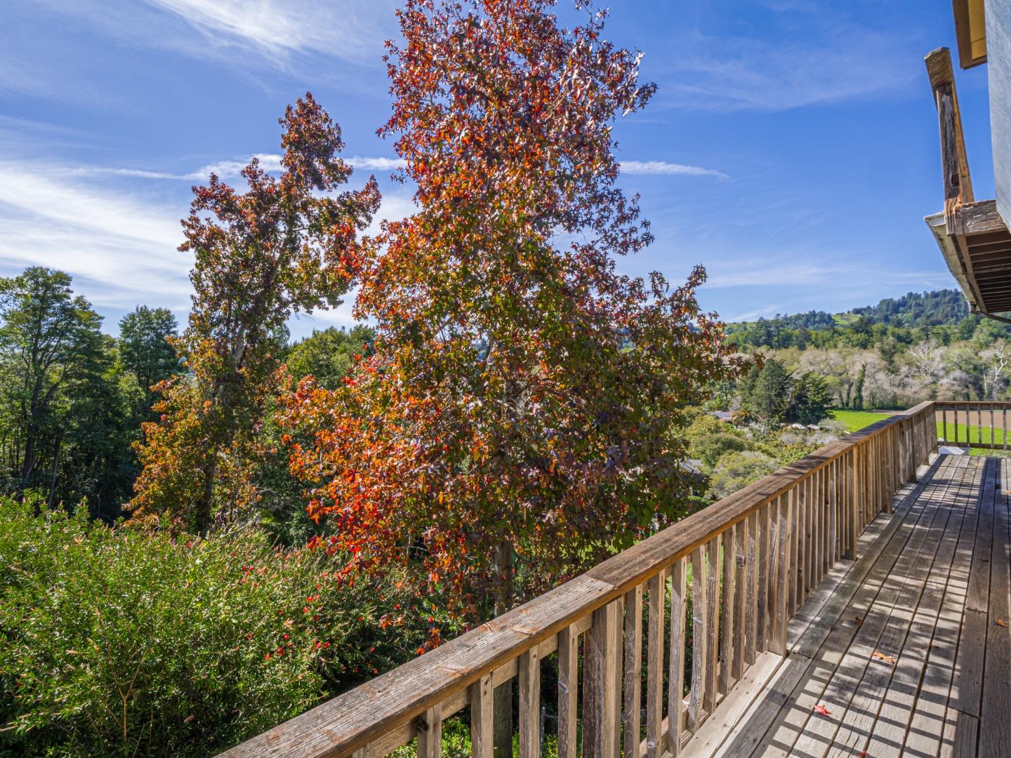 Detail Gallery Image 18 of 59 For 2004 Ocean Street Ext, Santa Cruz,  CA 95060 - 4 Beds | 2/1 Baths