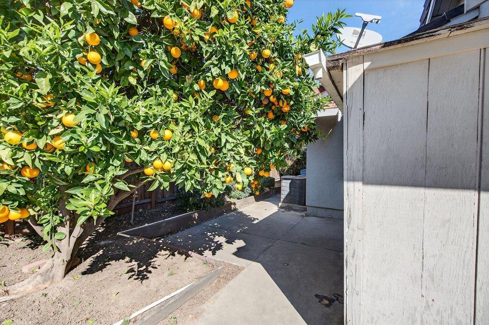 Detail Gallery Image 38 of 75 For 913 Ridgemark Dr, Hollister,  CA 95023 - 3 Beds | 2/1 Baths