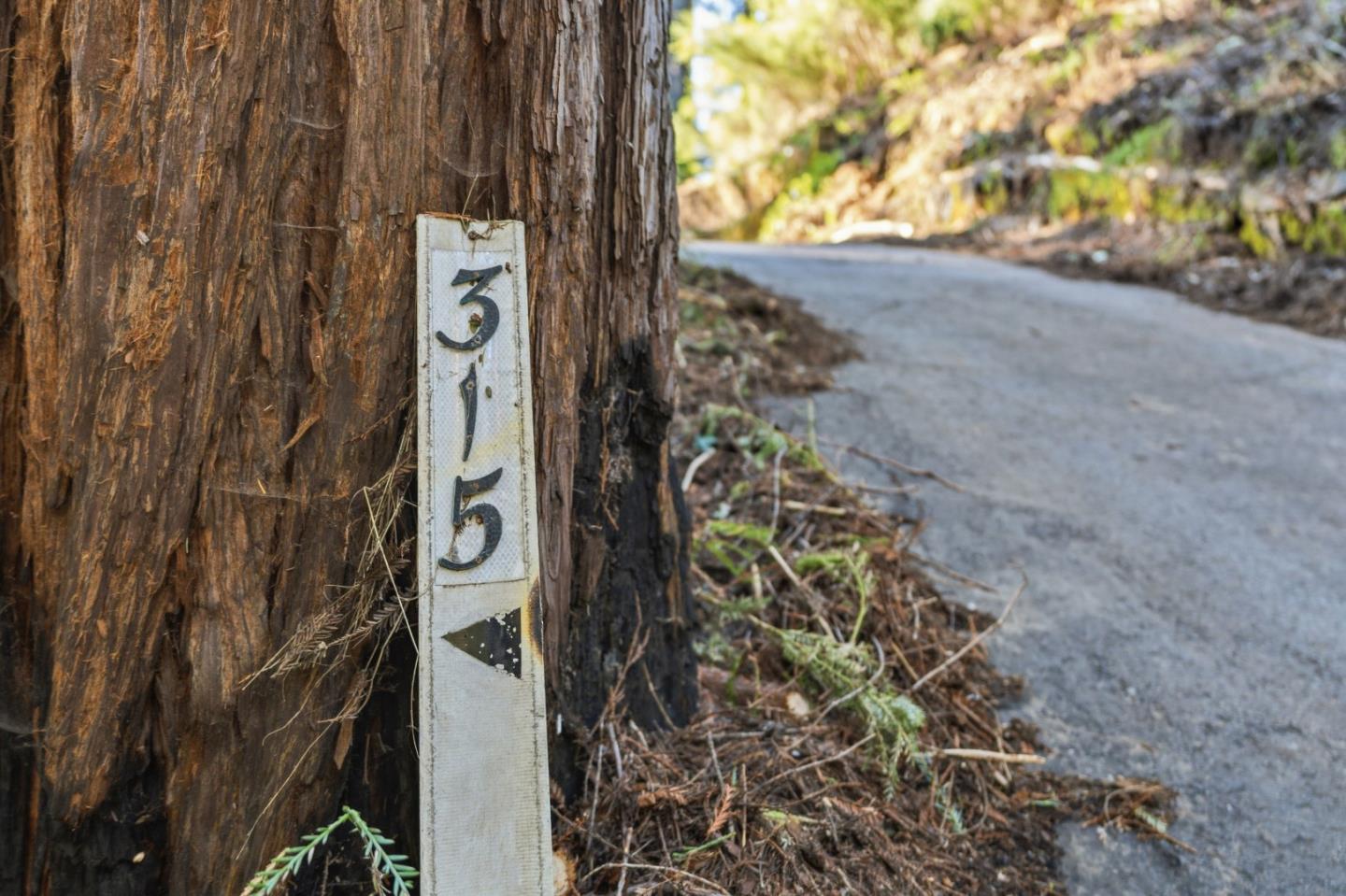 Detail Gallery Image 9 of 17 For 315 Alder Rd, Boulder Creek,  CA 95006 - – Beds | – Baths