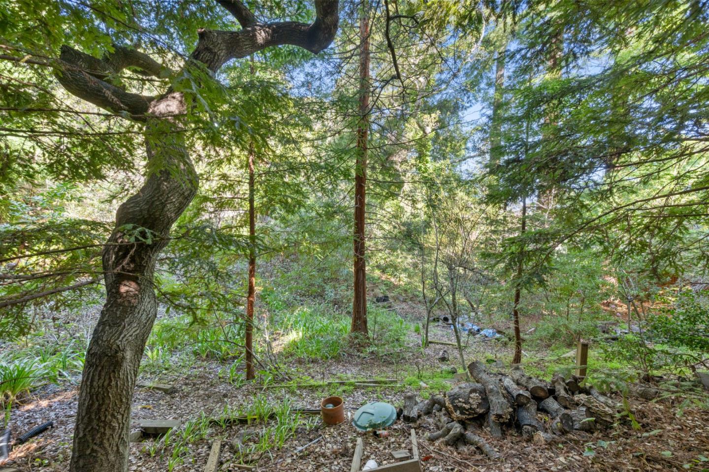 Detail Gallery Image 37 of 47 For 70 Tiptoe Ln, Burlingame,  CA 94010 - 3 Beds | 2 Baths