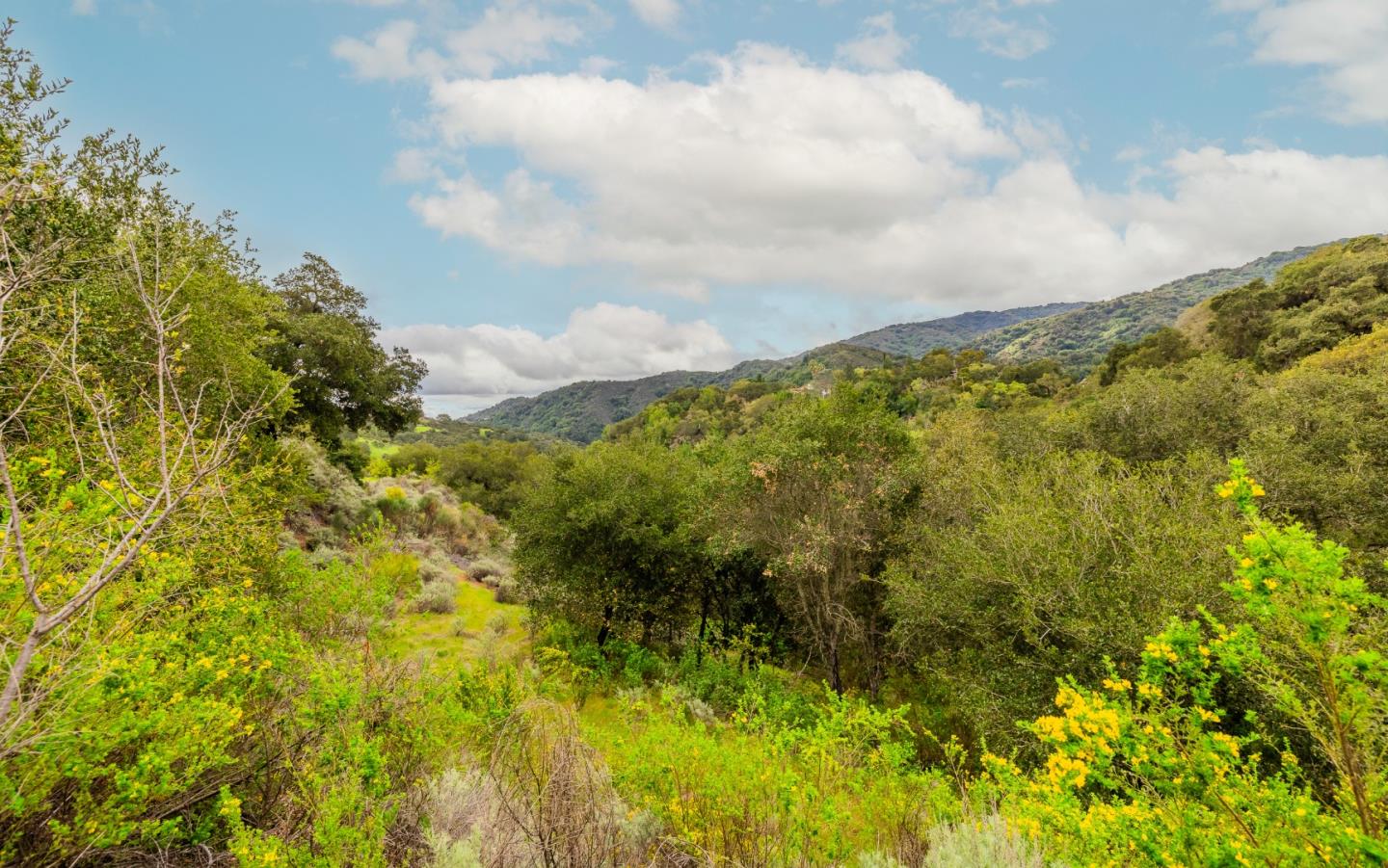 Detail Gallery Image 12 of 14 For 27388 Sherlock Ct, Los Altos,  CA 94022 - – Beds | – Baths