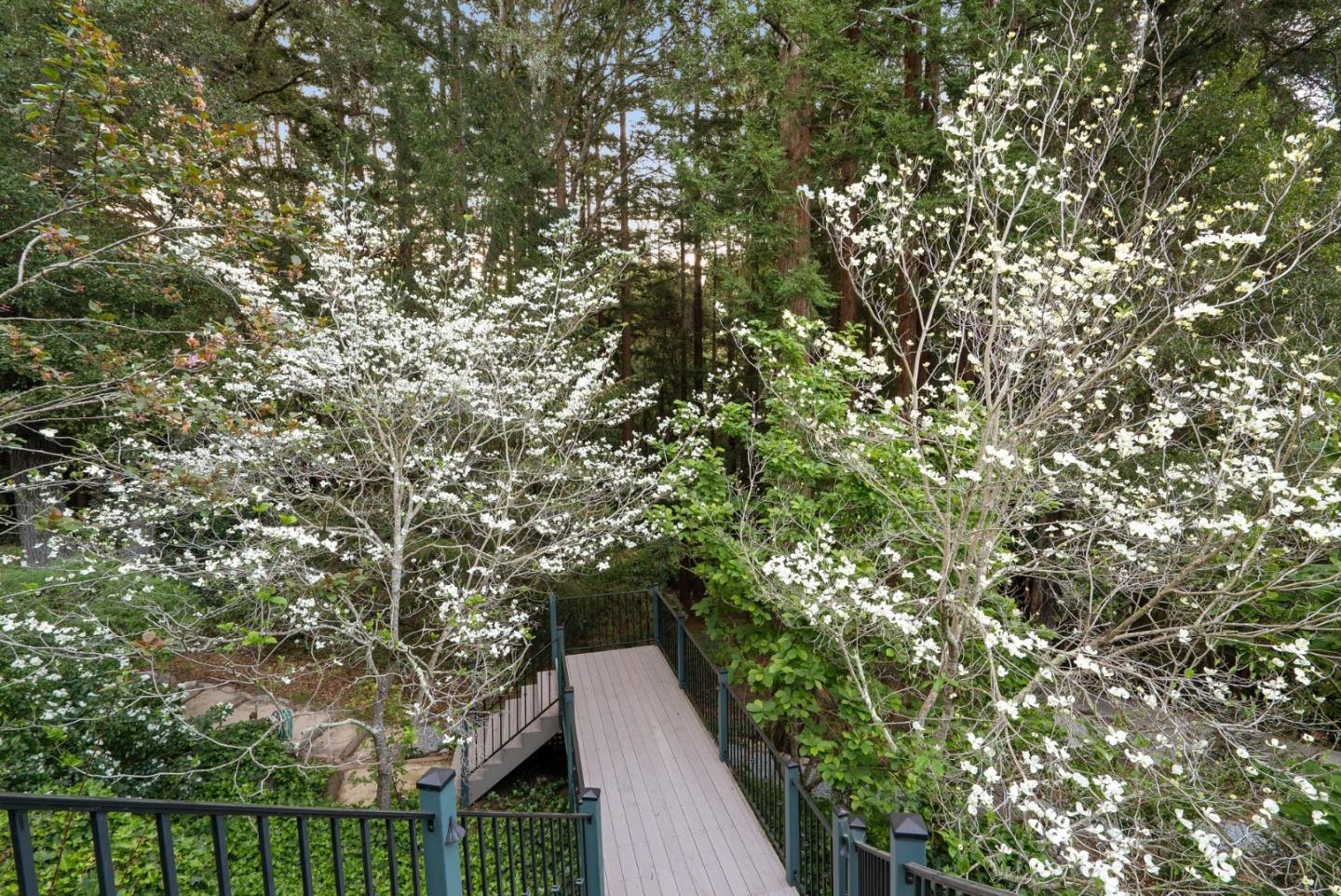 Detail Gallery Image 129 of 139 For 113 Lauren Cir, Scotts Valley,  CA 95066 - 5 Beds | 3/1 Baths