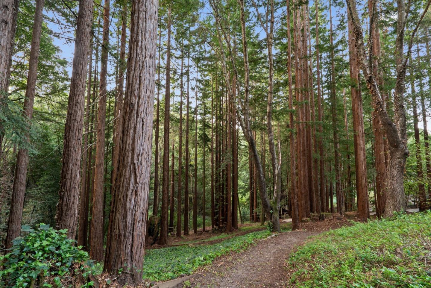 Detail Gallery Image 137 of 139 For 113 Lauren Cir, Scotts Valley,  CA 95066 - 5 Beds | 3/1 Baths
