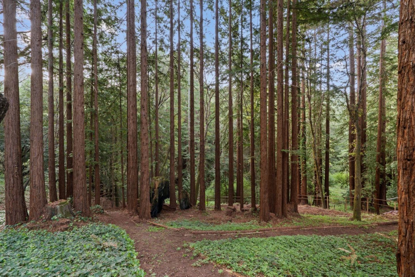 Detail Gallery Image 138 of 139 For 113 Lauren Cir, Scotts Valley,  CA 95066 - 5 Beds | 3/1 Baths