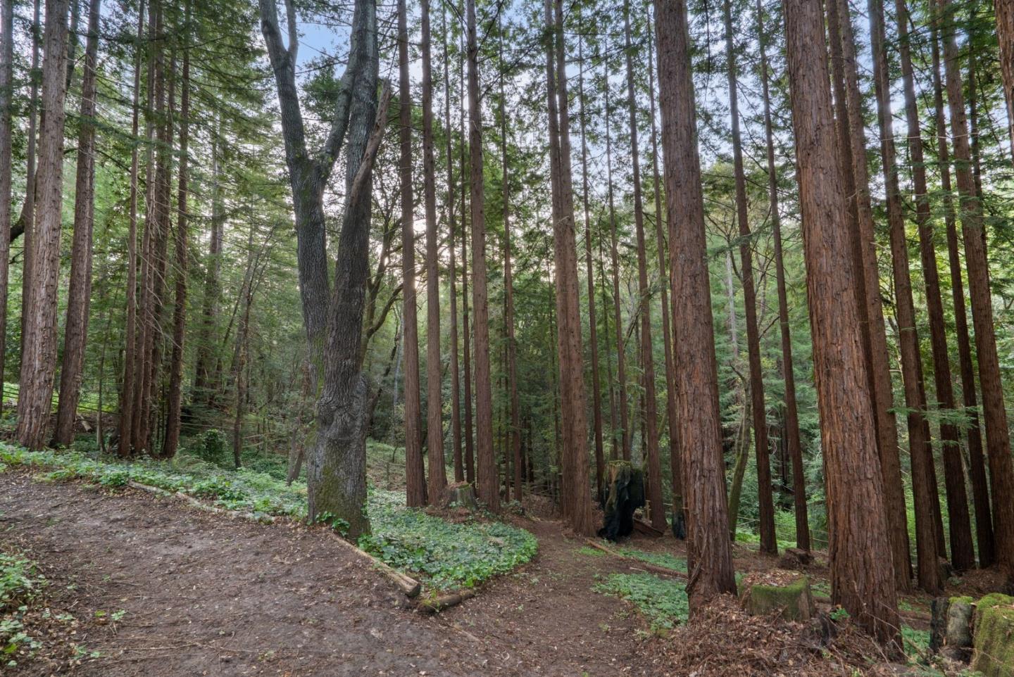 Detail Gallery Image 139 of 139 For 113 Lauren Cir, Scotts Valley,  CA 95066 - 5 Beds | 3/1 Baths