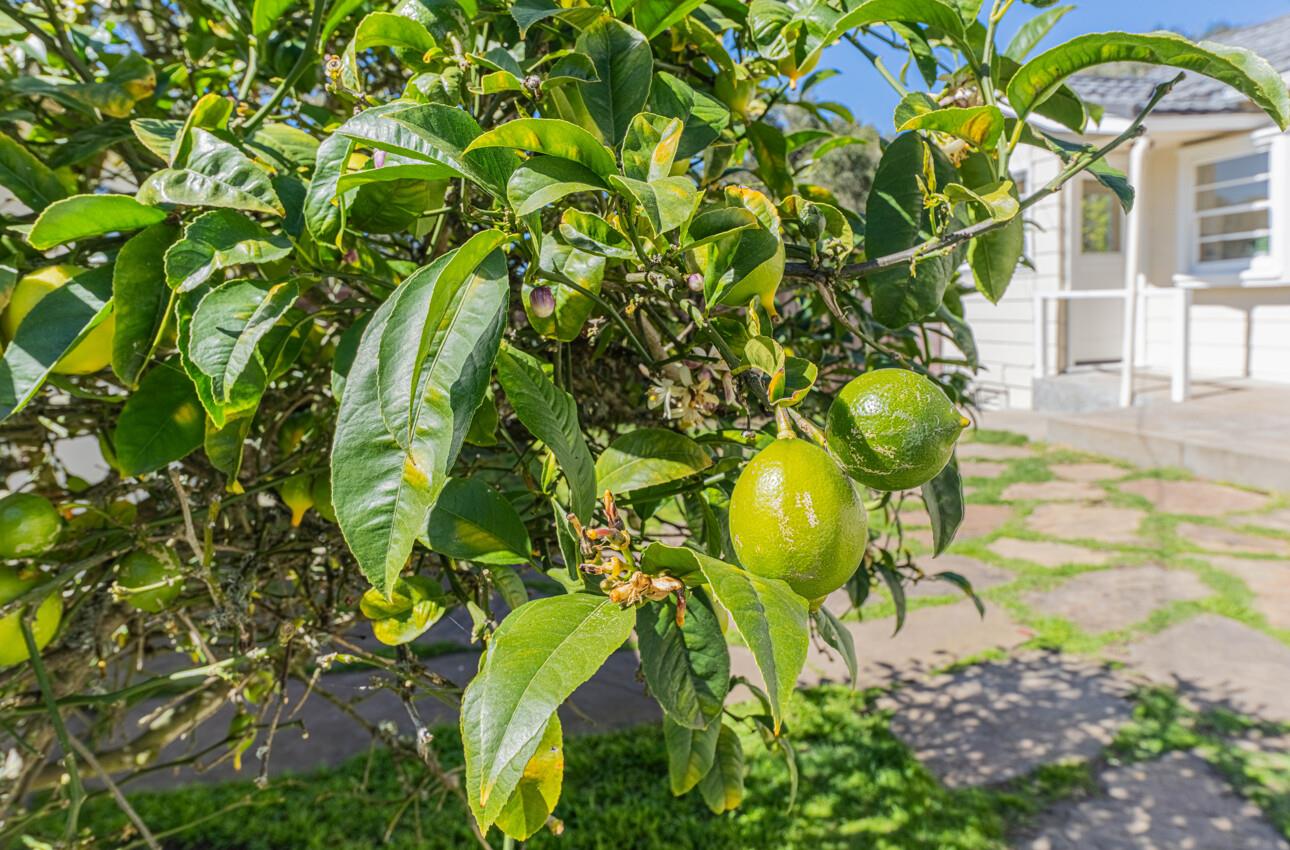 Detail Gallery Image 29 of 35 For 665 Hillcrest Ave, Pacific Grove,  CA 93950 - 3 Beds | 2 Baths