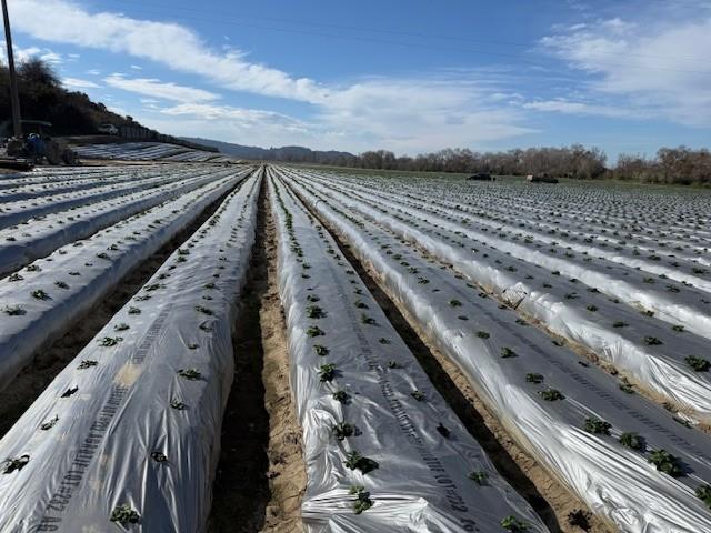 Detail Gallery Image 11 of 18 For 0 Murphy Hill Rd, Watsonville,  CA 95076 - – Beds | – Baths