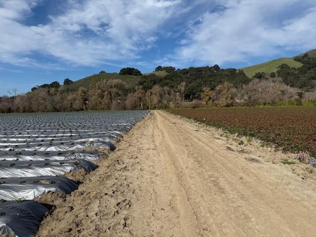 Detail Gallery Image 12 of 18 For 0 Murphy Hill Rd, Watsonville,  CA 95076 - – Beds | – Baths