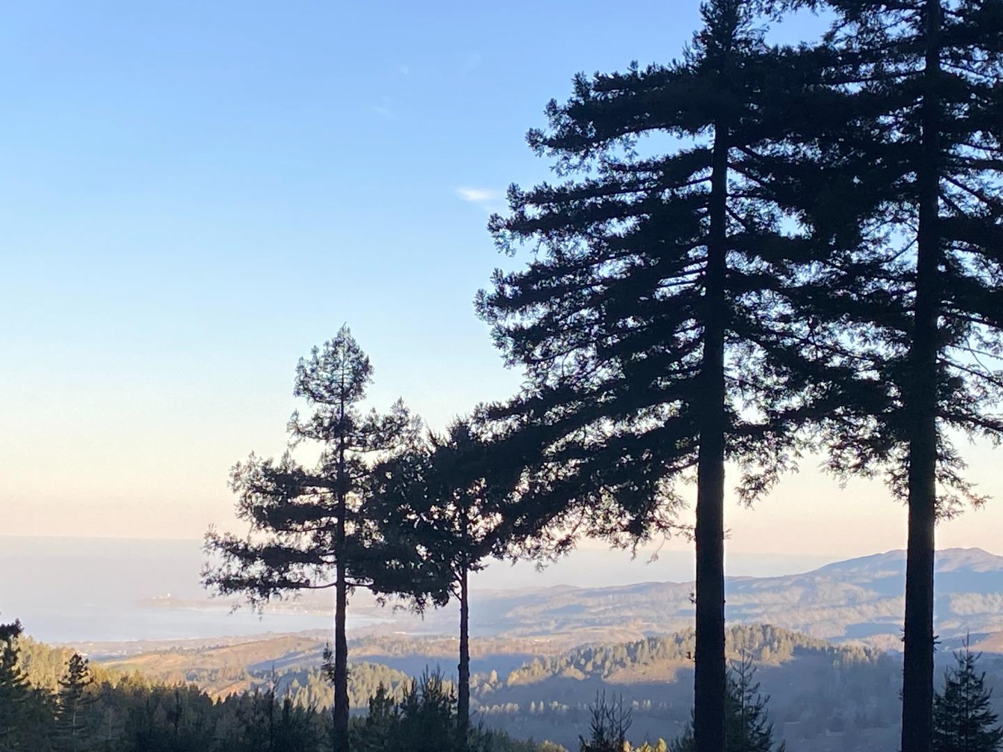 Detail Gallery Image 14 of 14 For 155 Native Sons Rd, Woodside,  CA 94062 - 1 Beds | 1 Baths