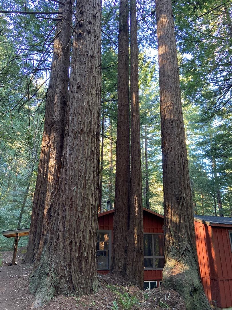 Detail Gallery Image 2 of 14 For 155 Native Sons Rd, Woodside,  CA 94062 - 1 Beds | 1 Baths