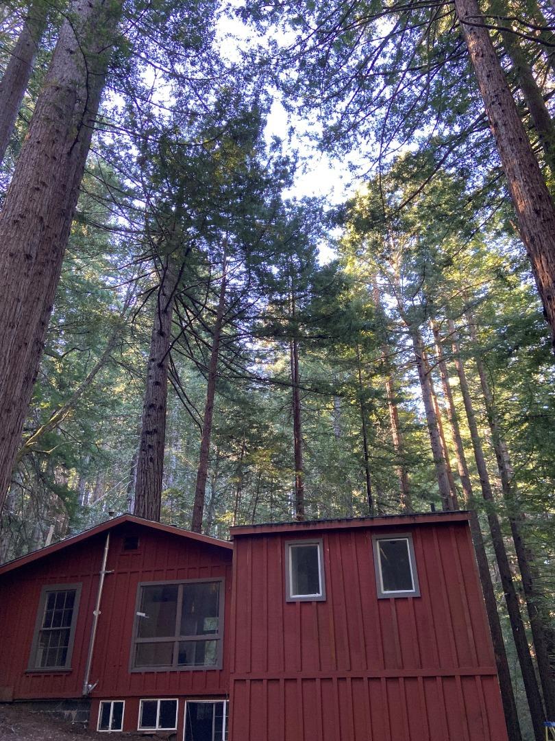 Detail Gallery Image 3 of 14 For 155 Native Sons Rd, Woodside,  CA 94062 - 1 Beds | 1 Baths