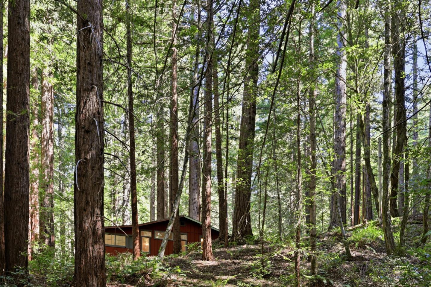 Detail Gallery Image 34 of 42 For 155 Native Sons Rd, Woodside,  CA 94062 - 1 Beds | 1 Baths