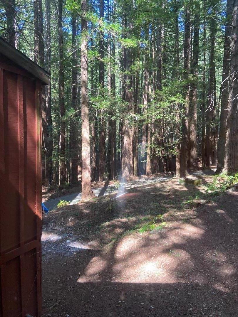 Detail Gallery Image 4 of 14 For 155 Native Sons Rd, Woodside,  CA 94062 - 1 Beds | 1 Baths