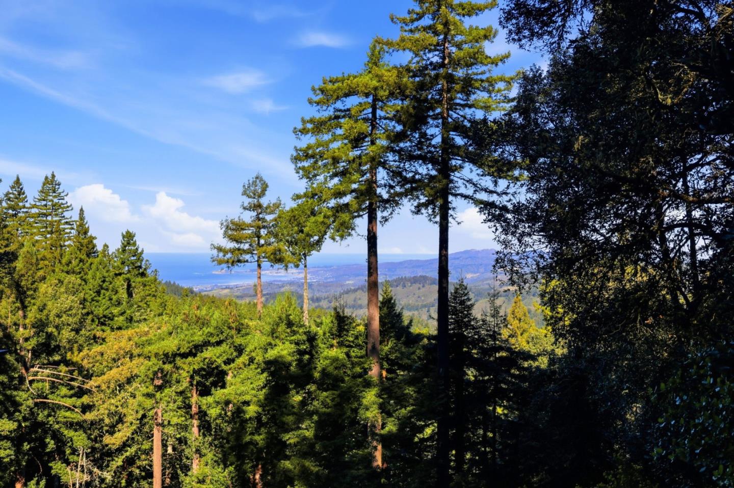 Detail Gallery Image 42 of 42 For 155 Native Sons Rd, Woodside,  CA 94062 - 1 Beds | 1 Baths