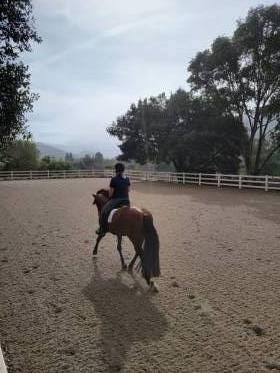 Detail Gallery Image 26 of 49 For 12170 Calle Uvas, Gilroy,  CA 95020 - 4 Beds | 2/1 Baths