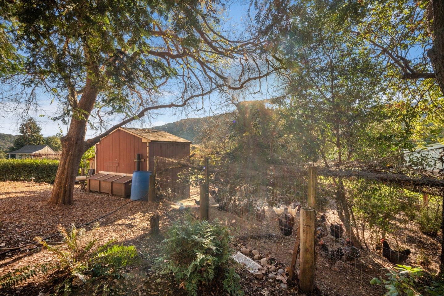 Detail Gallery Image 32 of 49 For 12170 Calle Uvas, Gilroy,  CA 95020 - 4 Beds | 2/1 Baths