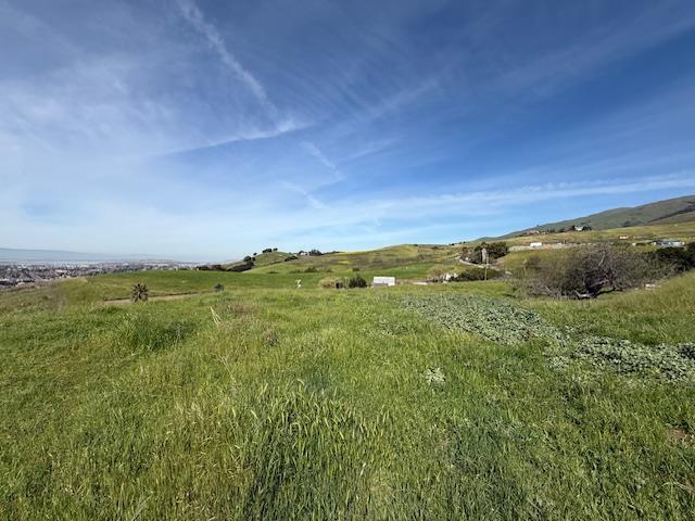 Detail Gallery Image 12 of 52 For 2118 Old Calaveras Rd, Milpitas,  CA 95035 - 6 Beds | 2 Baths