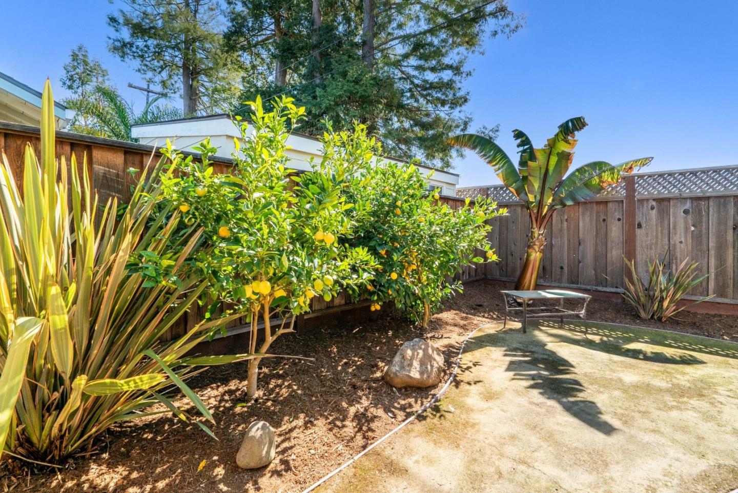 Detail Gallery Image 108 of 176 For 420 Capitola Road Ext, Santa Cruz,  CA 95062 - – Beds | – Baths