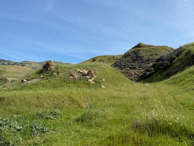 Detail Gallery Image 12 of 52 For 2118 Old Calaveras Rd, Milpitas,  CA 95035 - – Beds | – Baths