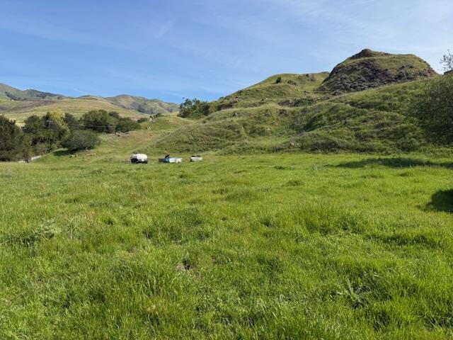 Detail Gallery Image 13 of 52 For 2118 Old Calaveras Rd, Milpitas,  CA 95035 - – Beds | – Baths