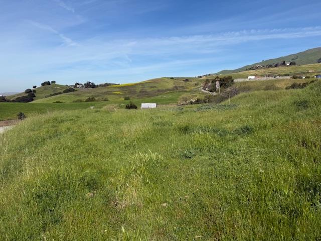 Detail Gallery Image 19 of 52 For 2118 Old Calaveras Rd, Milpitas,  CA 95035 - – Beds | – Baths