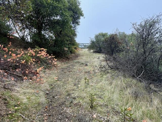 Detail Gallery Image 11 of 33 For 105 Silverline Rd, Los Gatos,  CA 95033 - – Beds | – Baths