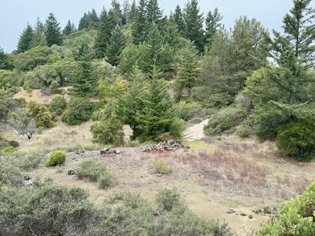 105 Silverline Road, Los Gatos, CA, 95033