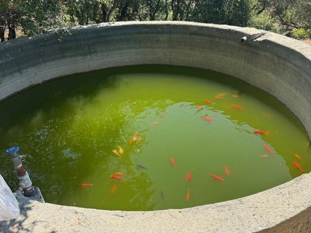 Detail Gallery Image 31 of 33 For 105 Silverline Rd, Los Gatos,  CA 95033 - – Beds | – Baths