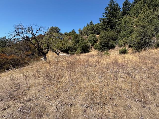 Detail Gallery Image 8 of 33 For 105 Silverline Rd, Los Gatos,  CA 95033 - – Beds | – Baths