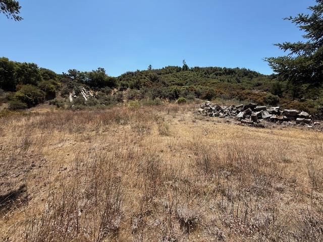 Detail Gallery Image 9 of 33 For 105 Silverline Rd, Los Gatos,  CA 95033 - – Beds | – Baths