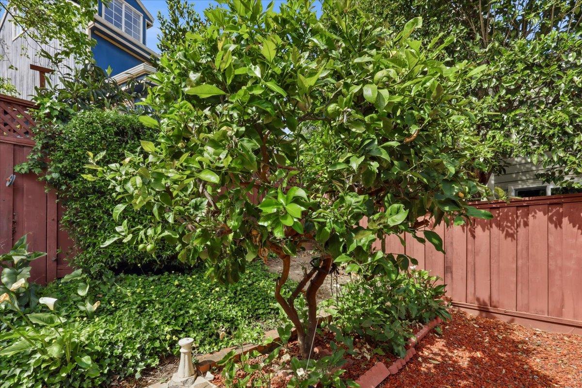 Detail Gallery Image 103 of 117 For 408 Green Hills Dr, Millbrae,  CA 94030 - 4 Beds | 3 Baths