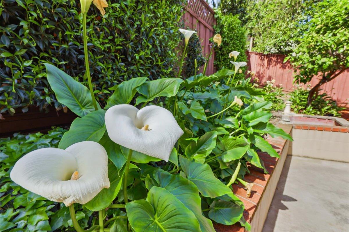 Detail Gallery Image 107 of 117 For 408 Green Hills Dr, Millbrae,  CA 94030 - 4 Beds | 3 Baths