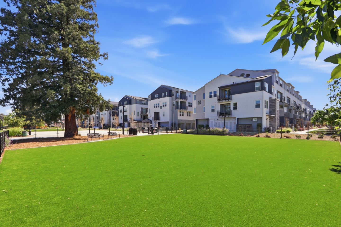 Detail Gallery Image 51 of 65 For 441 S Henry Ave, San Jose,  CA 95117 - 3 Beds | 2 Baths