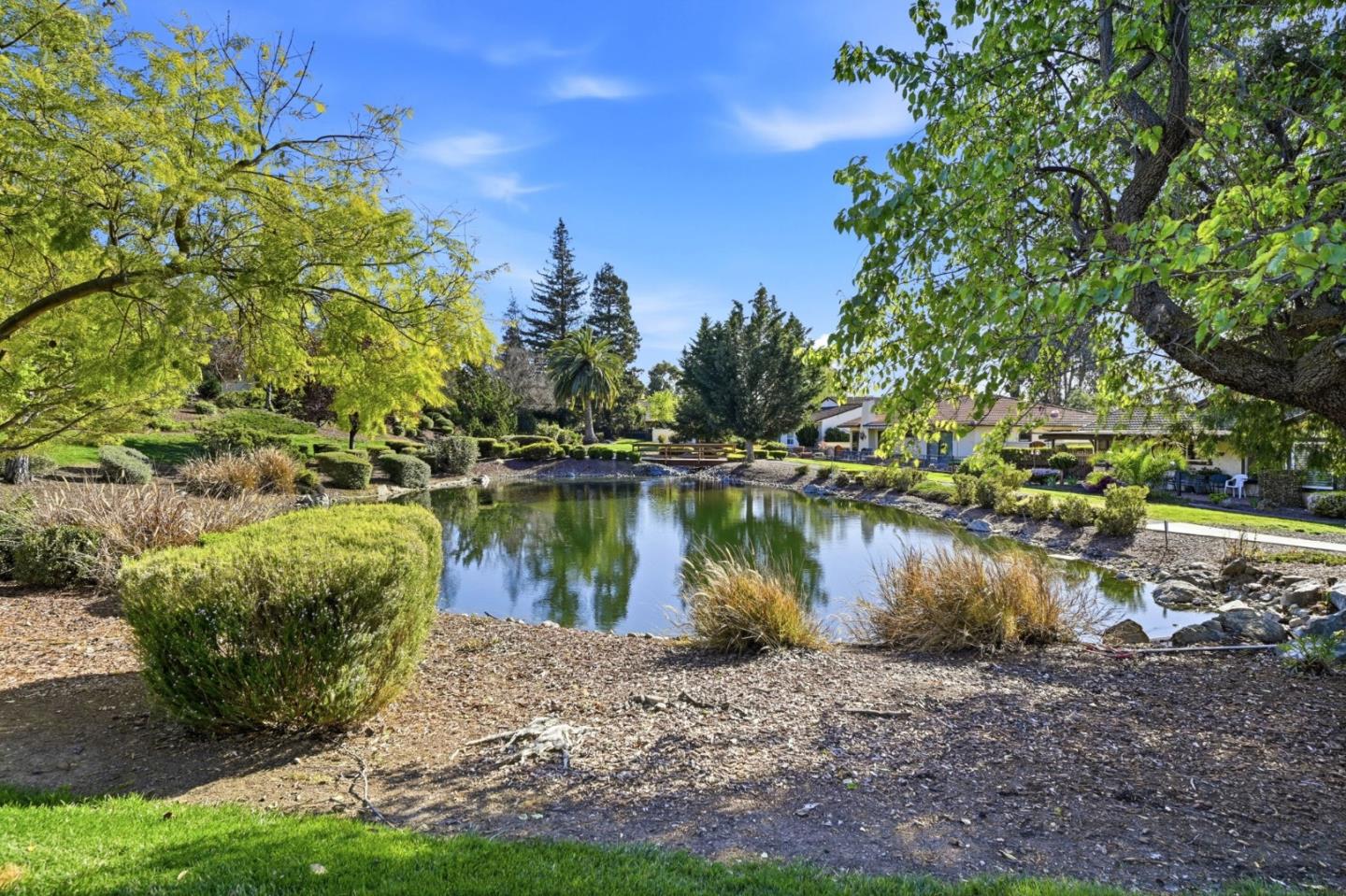Detail Gallery Image 36 of 45 For 8124 Cabernet Ct, San Jose,  CA 95135 - 2 Beds | 2 Baths