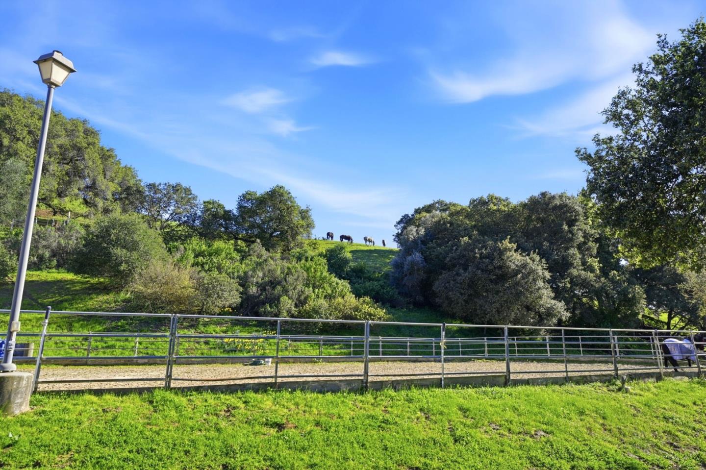 Detail Gallery Image 41 of 45 For 8124 Cabernet Ct, San Jose,  CA 95135 - 2 Beds | 2 Baths