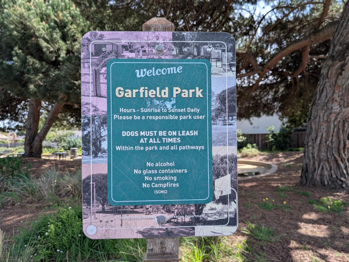 Detail Gallery Image 4 of 18 For 631 Almar Ave, Santa Cruz,  CA 95060 - 3 Beds | 2 Baths